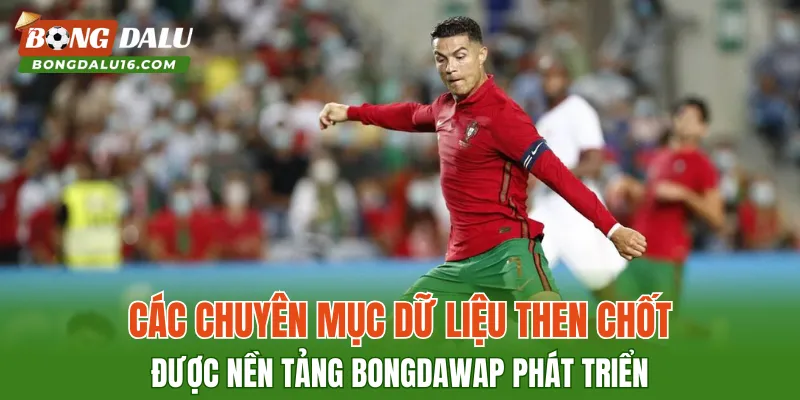 Các chuyên mục dữ liệu then chốt được nền tảng Bongdawap phát triển