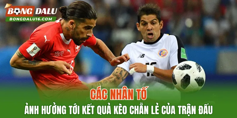 Các nhân tố ảnh hưởng tới kết quả kèo Chẵn Lẻ của trận đấu