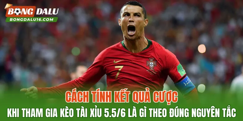 Cách tính kết quả cược khi tham gia kèo Tài Xỉu 5.5/6 là gì theo đúng nguyên tắc