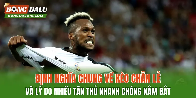 Định nghĩa chung về kèo Chẵn Lẻ và lý do nhiều tân thủ nhanh chóng nắm bắt