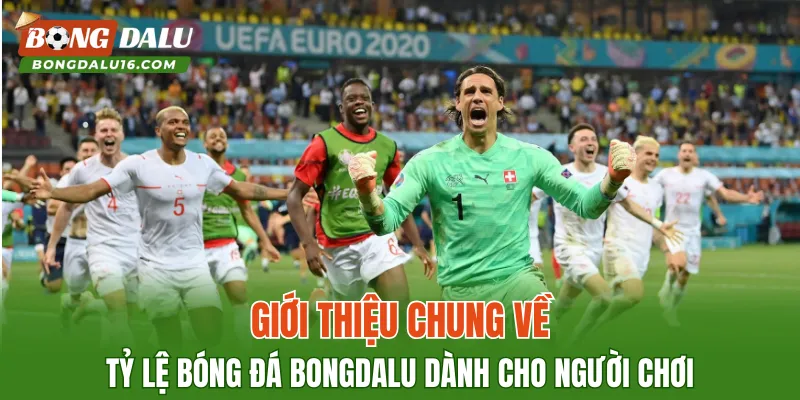 Giới thiệu chung về tỷ lệ bóng đá BONGDALU dành cho người chơi