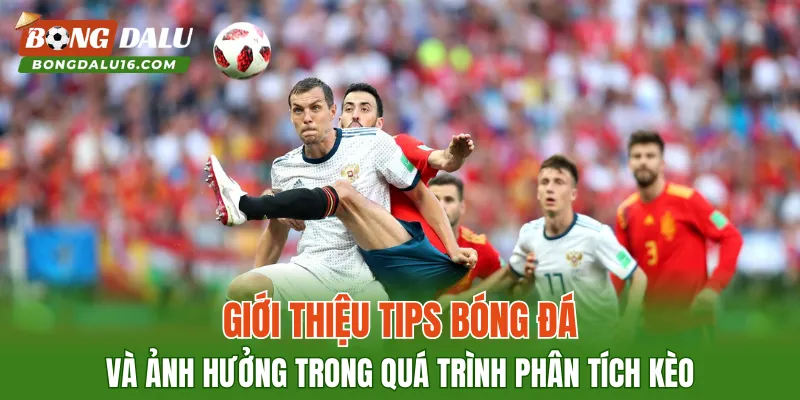 Giới thiệu tips bóng đá và ảnh hưởng trong quá trình phân tích kèo