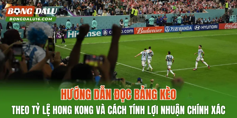 Hướng dẫn đọc bảng kèo theo tỷ lệ Hong Kong và cách tính lợi nhuận chính xác