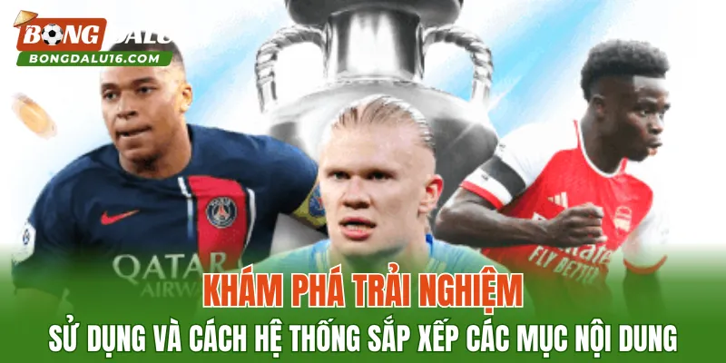 Khám phá trải nghiệm sử dụng và cách hệ thống sắp xếp các mục nội dung