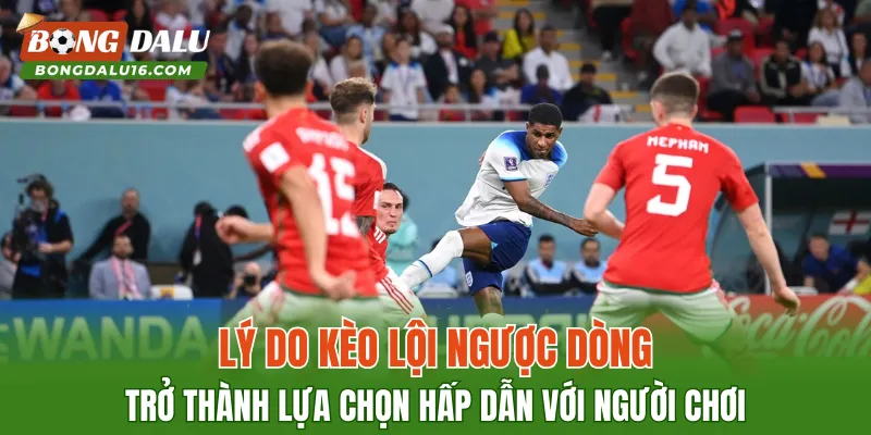 Lý do kèo lội ngược dòng trở thành lựa chọn hấp dẫn với người chơi