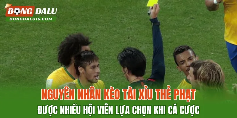 Nguyên nhân kèo tài xỉu thẻ phạt được nhiều hội viên lựa chọn khi cá cược