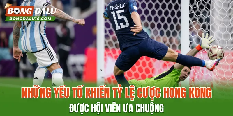 Những yếu tố khiến tỷ lệ cược Hong Kong được hội viên ưa chuộng