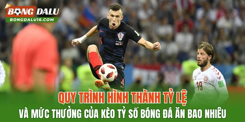 Quy trình hình thành tỷ lệ và mức thưởng của kèo tỷ số Bóng Đá ăn bao nhiêu