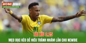 Tài Xỉu 3.25 – Mẹo Đọc Kèo Dễ Hiểu Tránh Nhầm Lẫn Cho Newbie