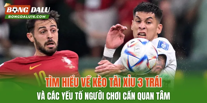 Tìm hiểu về kèo tài xỉu 3 trái và các yếu tố người chơi cần quan tâm