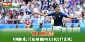 Tips Bóng Đá: Những Yếu Tố Quan Trọng Khi Đọc Tỷ Lệ Kèo