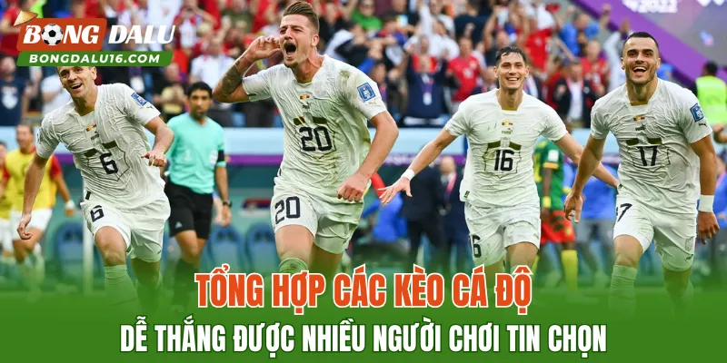 Tổng hợp các kèo cá độ dễ thắng được nhiều người chơi tin chọn