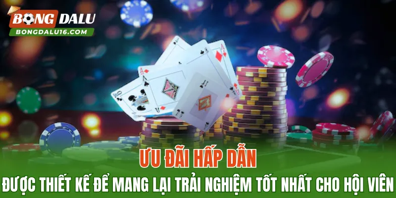 Ưu đãi hấp dẫn được thiết kế để mang lại trải nghiệm tốt nhất cho hội viên